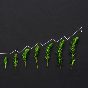 business growth 2022 11 16 17 03 38 utc